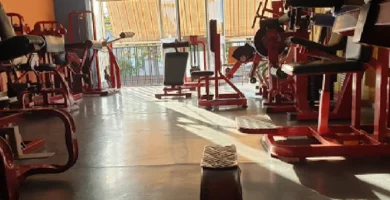 Gimnasio Fernando
