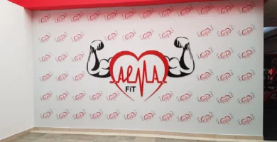 Alma Fit Gym Torrijos