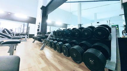 Dinámica Gym