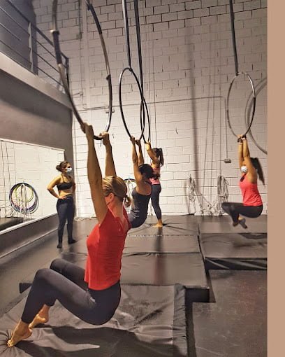 Mirlo Danza Aérea y Deporte