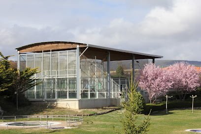 Pista de Pádel
