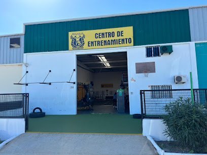 Pegasus Training Center