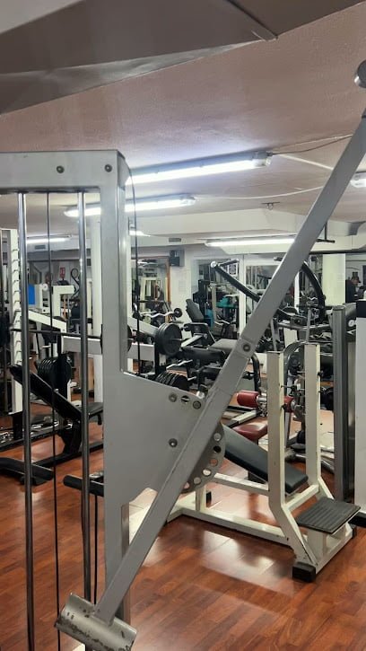 Kingdom Gym