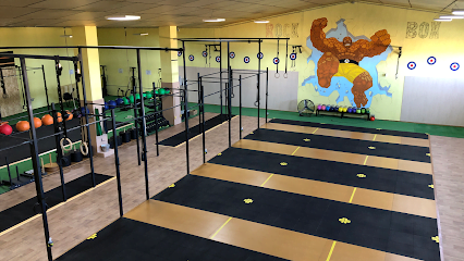 Cross Training Rock Box