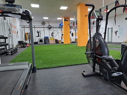 CMF Gimnasio