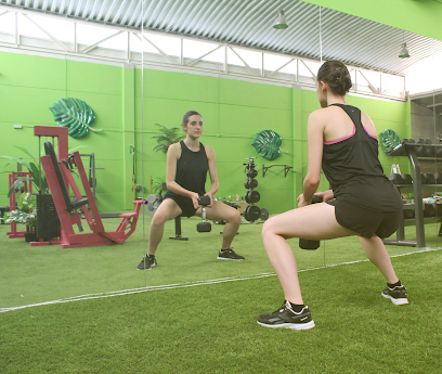 Gimnasio SM Fitness (La jungla)