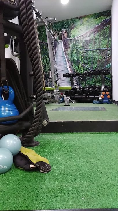Centro Fitness QRX-Quiromax Training System