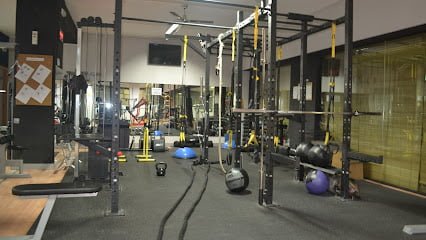 Lizard Gym