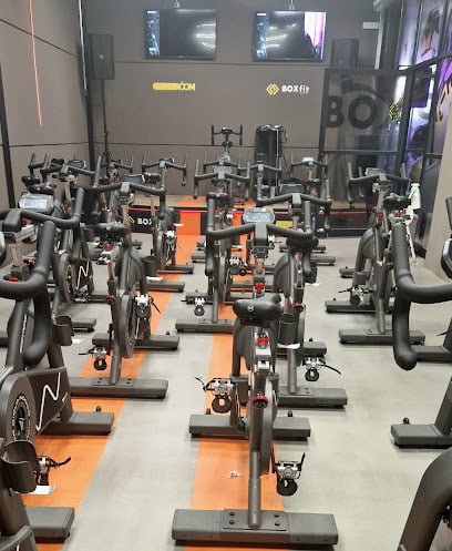 Bailén Box Fit