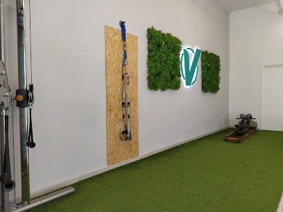 Vital Vizega