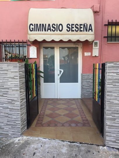 Gimnasio Seseña