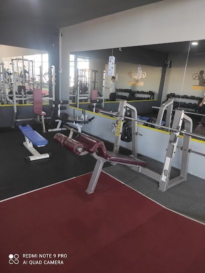 MSCFITNESS24H