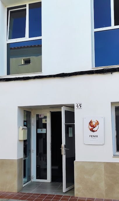 GIMNASIO FENIX