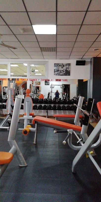 Gym Vital