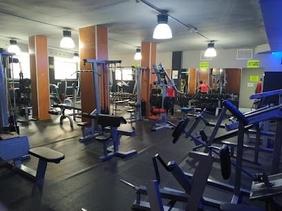 Gimnasio Muscle Beach