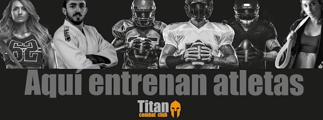 Box Titan Combat