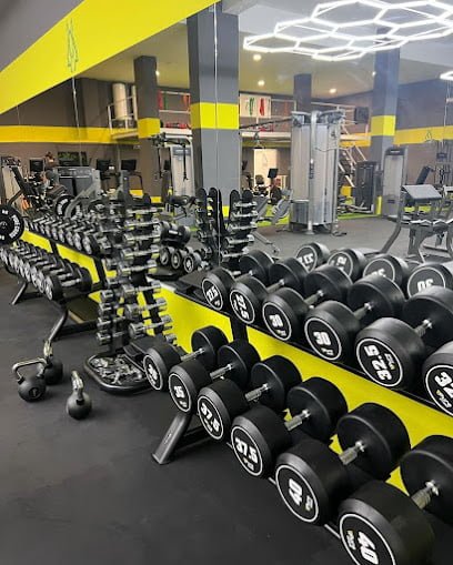 Anubis gym