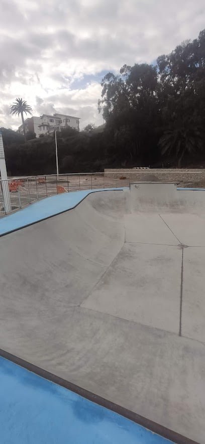Pista skateboard