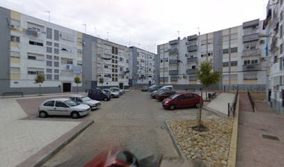 Yhazmina PF