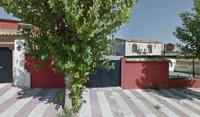 Asesoría fitness Comino