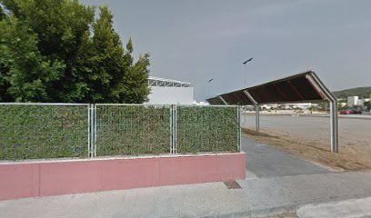 Parc cal·listènia Ses Païsses