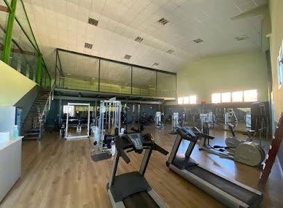 Gimnasio Palmera