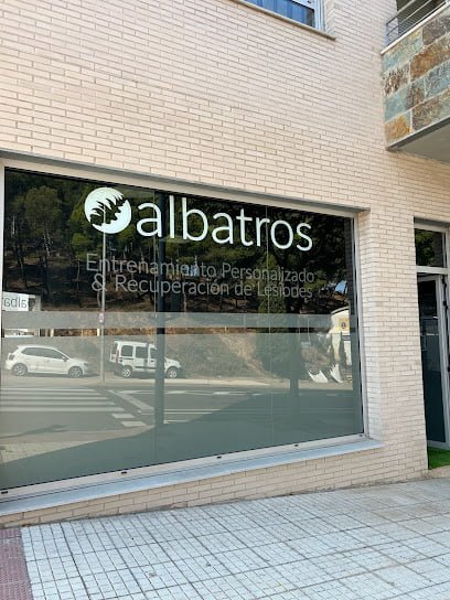 Albatros