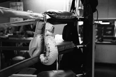 DETROIT BOXING ANDORRA