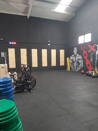 Elite Box Palau