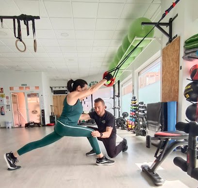 MOVIMENT Entrenamiento Saludable