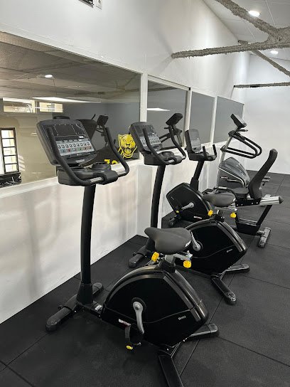 Zoo Gym