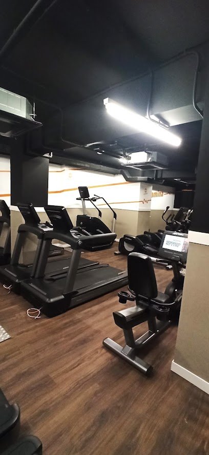 Synergym Fabra i Puig