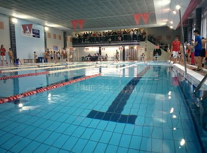Club Deportivo Arenas