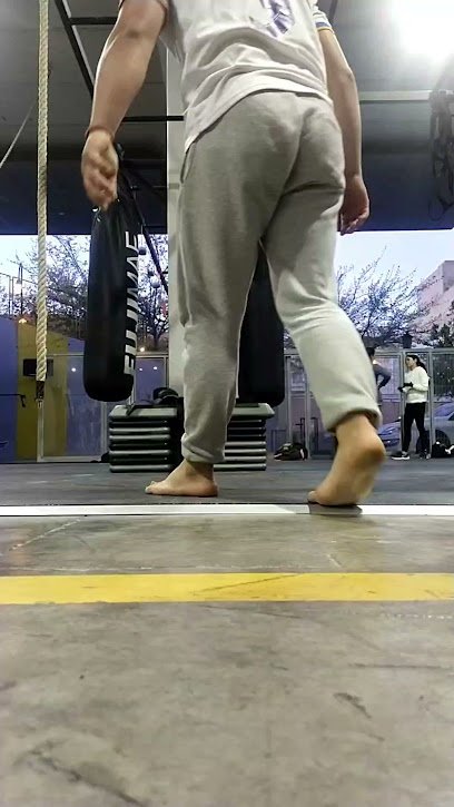 Mesesportgym