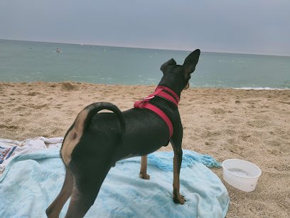 Platja canina Sant Vicenç de Montalt