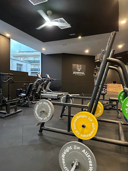 Animal Fitness
