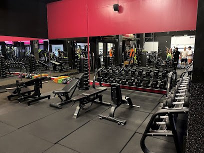 Human fit