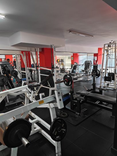 Gimnasio Profesional Fitness