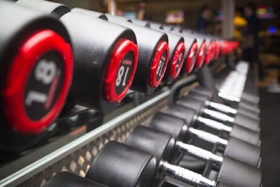 VivaGym Las Torres | Gimnasio en Zaragoza