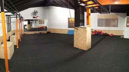 Fit & Habit
