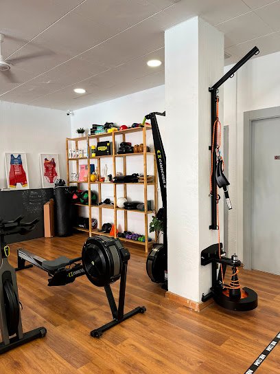 Nexum Sport