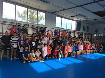 COMBAT SAMBO VALLÈS
