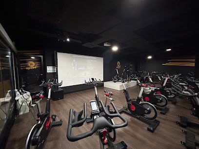 Synergym Sabadell Paddock