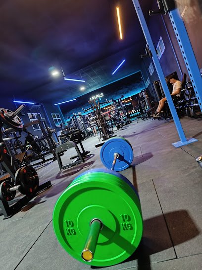LEVELS GYM