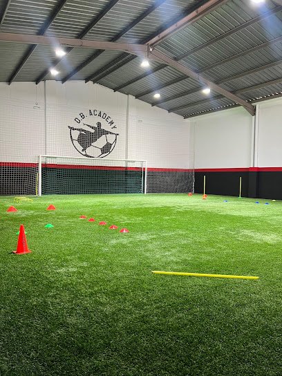 DB Academy