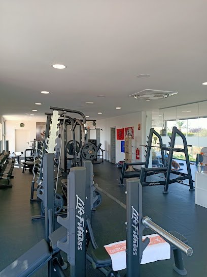 Wild Movement Training School