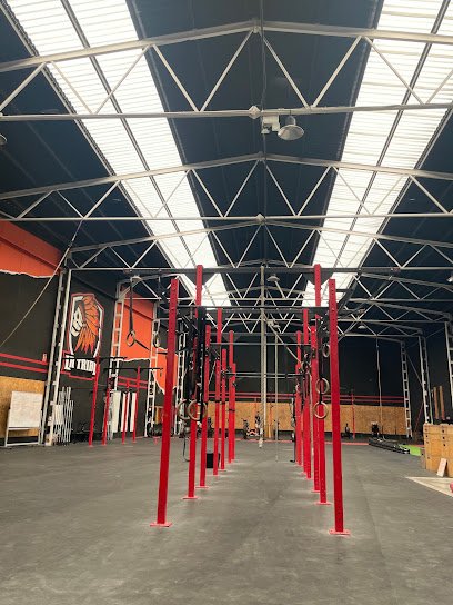 La Tribu Box