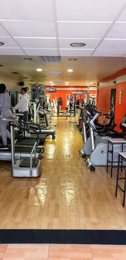 Gimnasio Nou Model