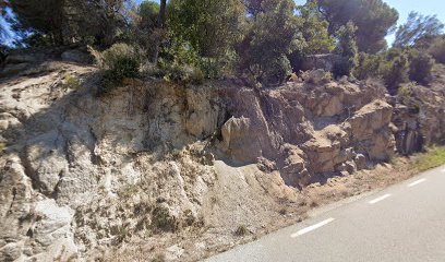 ZONA RUTA CRAWLER