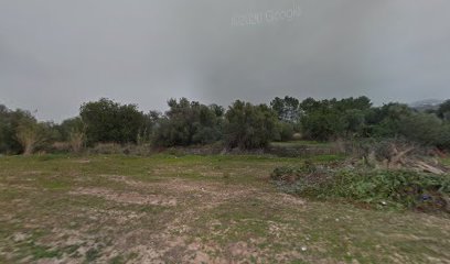 Ca Sika